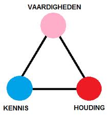 Vaardigheden